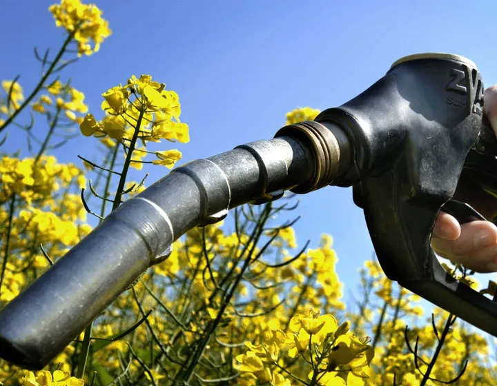 Biodiesel