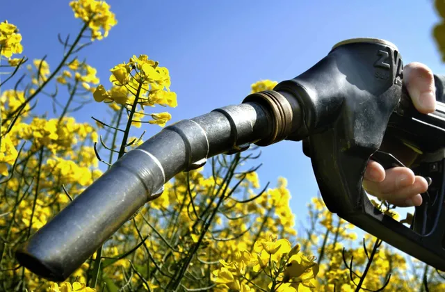 Biodiesel