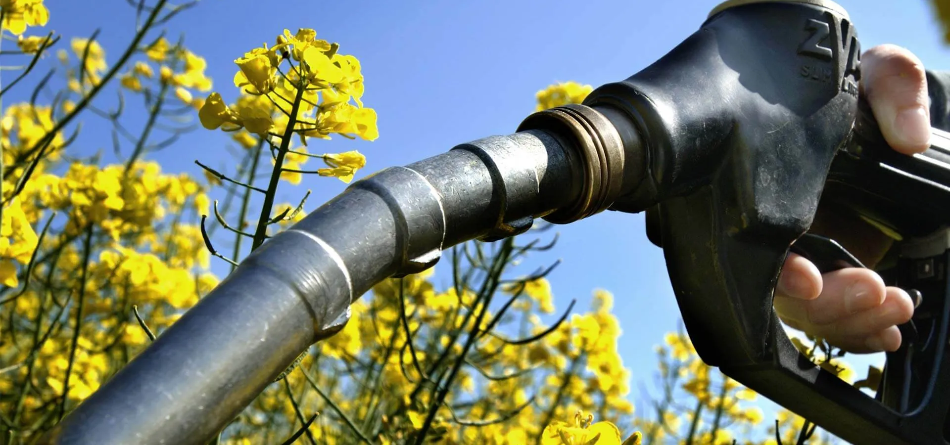Biodiesel