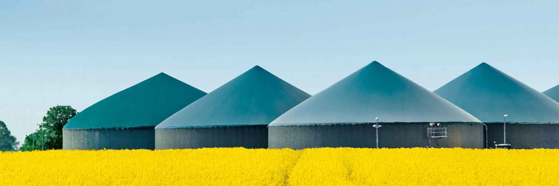 Biogas