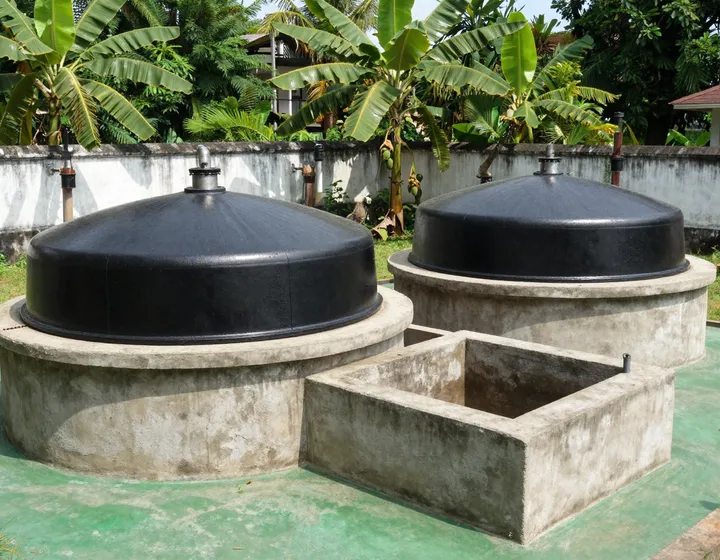 Biogas