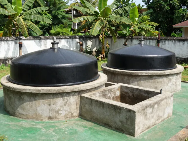 Biogas