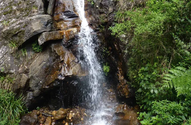 Hydro