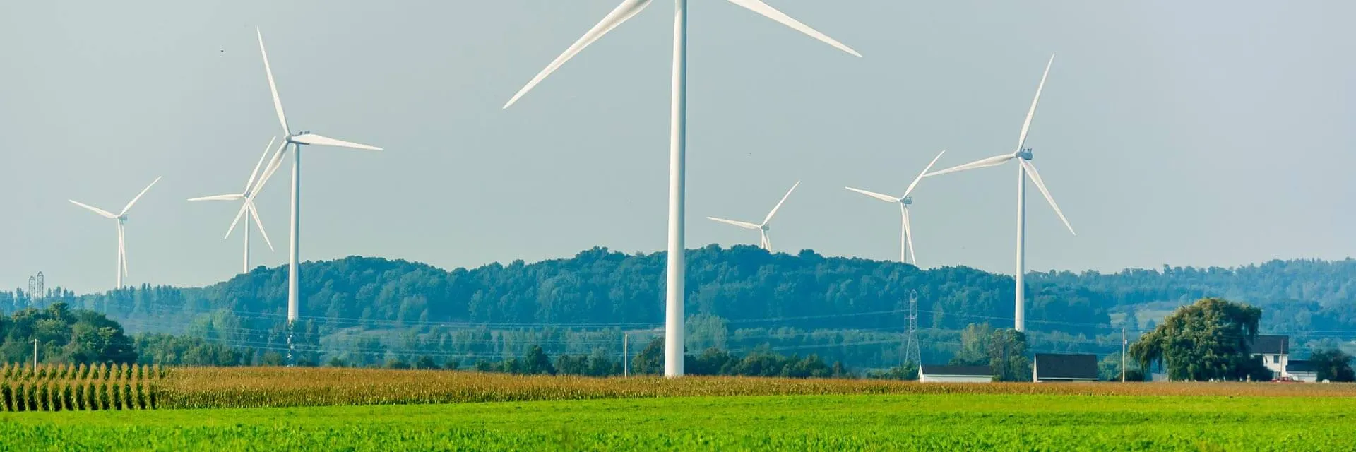 Wind