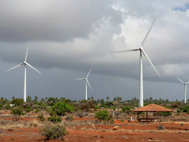 Wind
